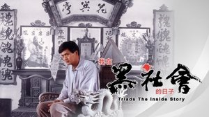 我在黑社會的日子