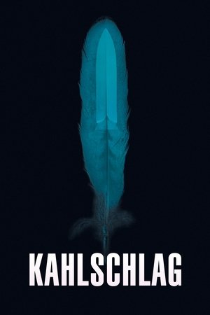 Kahlschlag
