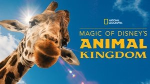 La Magia de Animal Kingdom de Disney
