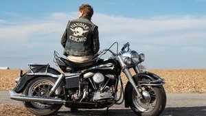 Bikeriders. La ley del asfalto