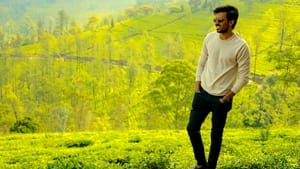 డార్లింగ్