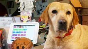 とんかつDJアゲ太郎