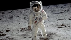 A Funny Thing Happened on the Way to the Moon