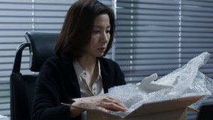 젊은이의 양지