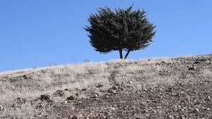 کجاست جای رسیدن؟
