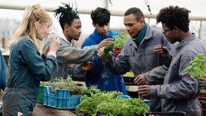 La brigada de la cocina