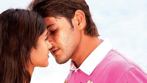 పోకిరి
