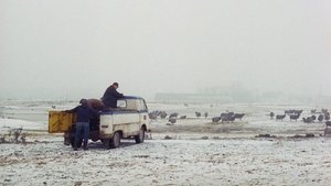Fårödokument 1970