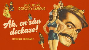 My Favorite Brunette