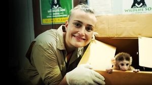 Jungle Animal Rescue