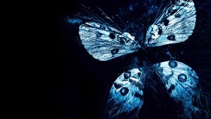 El efecto mariposa 3: Revelaciones