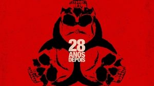 28 años después