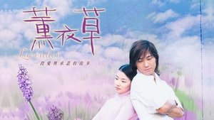 薰衣草