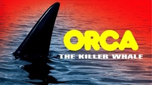 Orca, la ballena asesina
