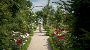 Pintando el jardín moderno: De Monet a Matisse