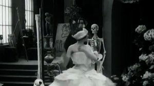 The Dying Swan
