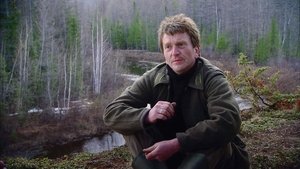 El Big Bang de Tunguska