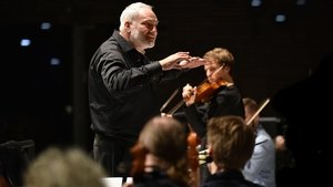 The Violin Player