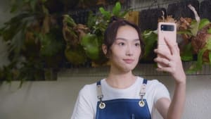 全個世界都有電話