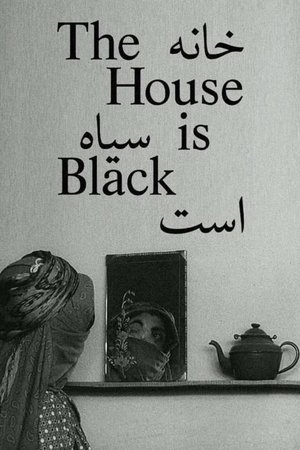 La casa es negra