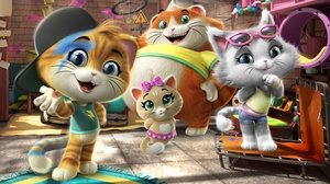 44 Gatos