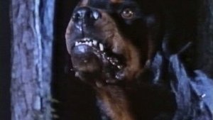 Dogs of Hell