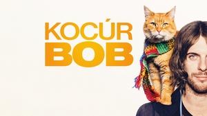 Un gato callejero llamado Bob