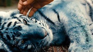The Blue Tiger
