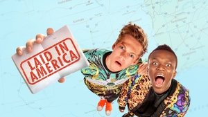 Laid in America