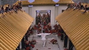 大刺客