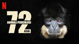 72 Dangerous Animals: Asia