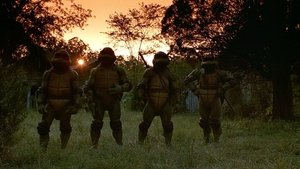 Tortugas Ninja