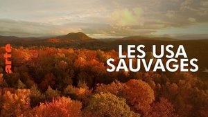 America's Wild Seasons