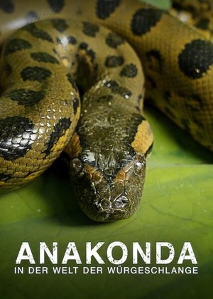 Anaconda: Asesino sigiloso