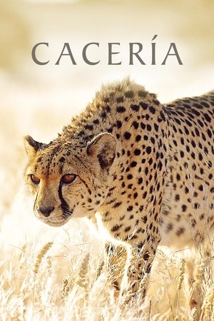 La caza