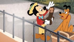 Mickey y la foca