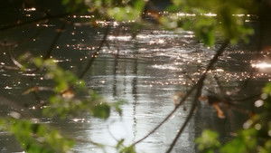 Al primo soffio di vento