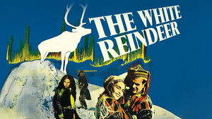 The White Reindeer