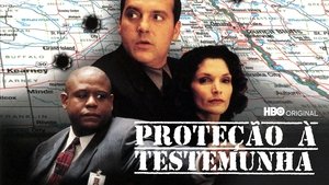 Testigo protegido