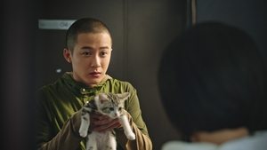 宠爱
