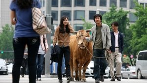 Rolling Home with a Bull