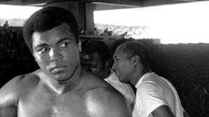 El regreso de Ali: la historia jamás contada