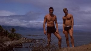 Rock Hudson: Sólo el cielo lo supo