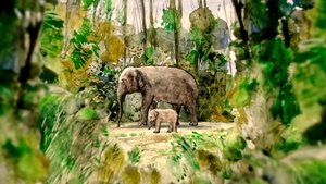 The Tragic Story of Fritz the Elephant