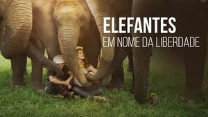 Love & Bananas: An Elephant Story