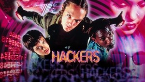Hackers, piratas informáticos