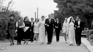 A Crazy Party Animal