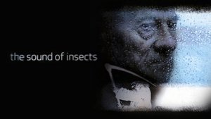 The Sound of Insects: Record of a Mummy