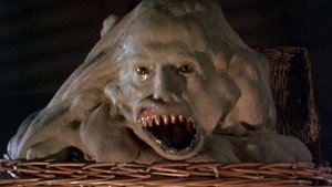 Basket Case ¿Dónde te escondes, hermano?