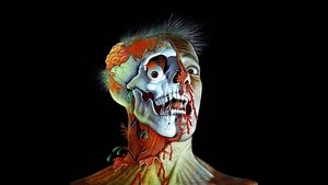 The Dead Are Alive
